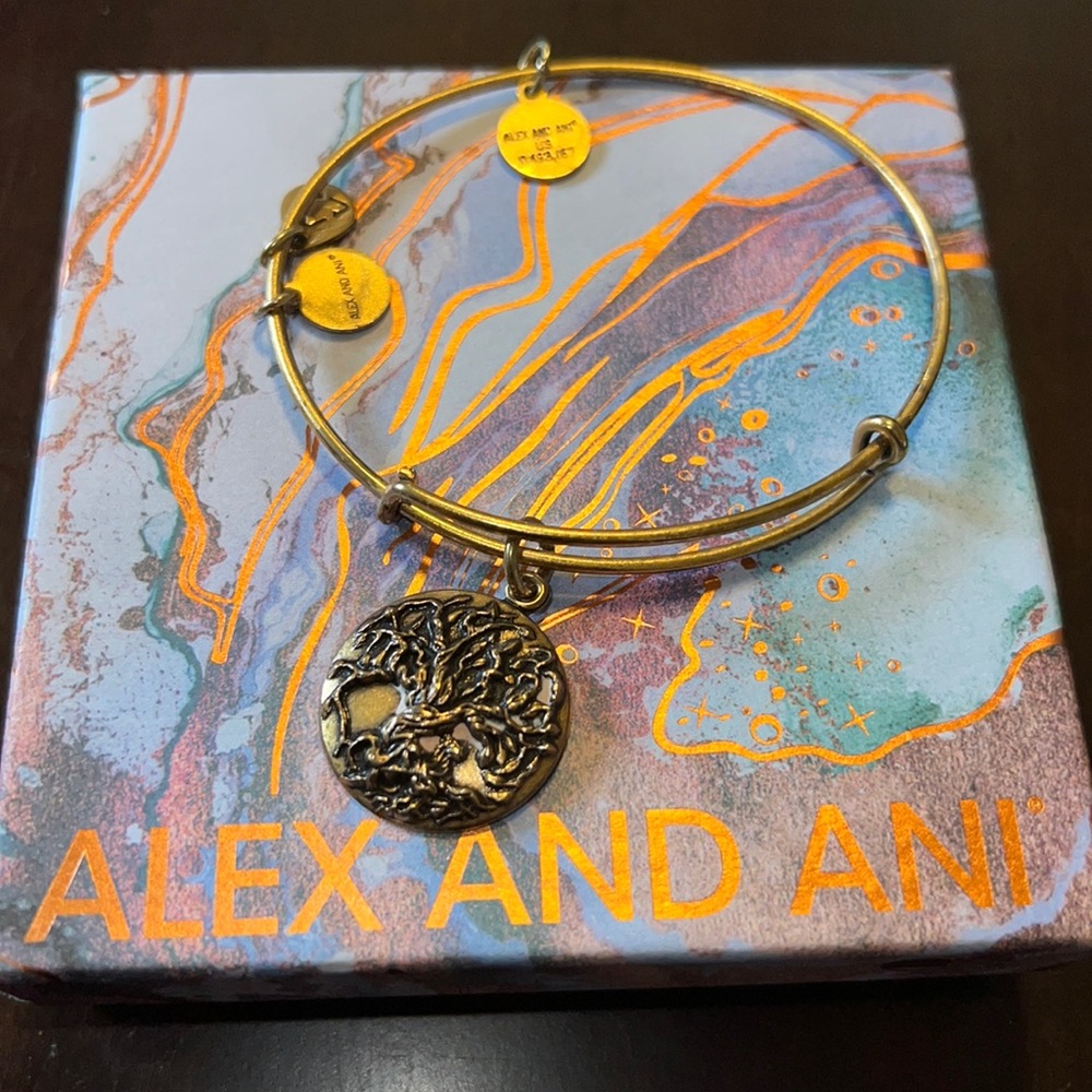 Alex and ani bracelet